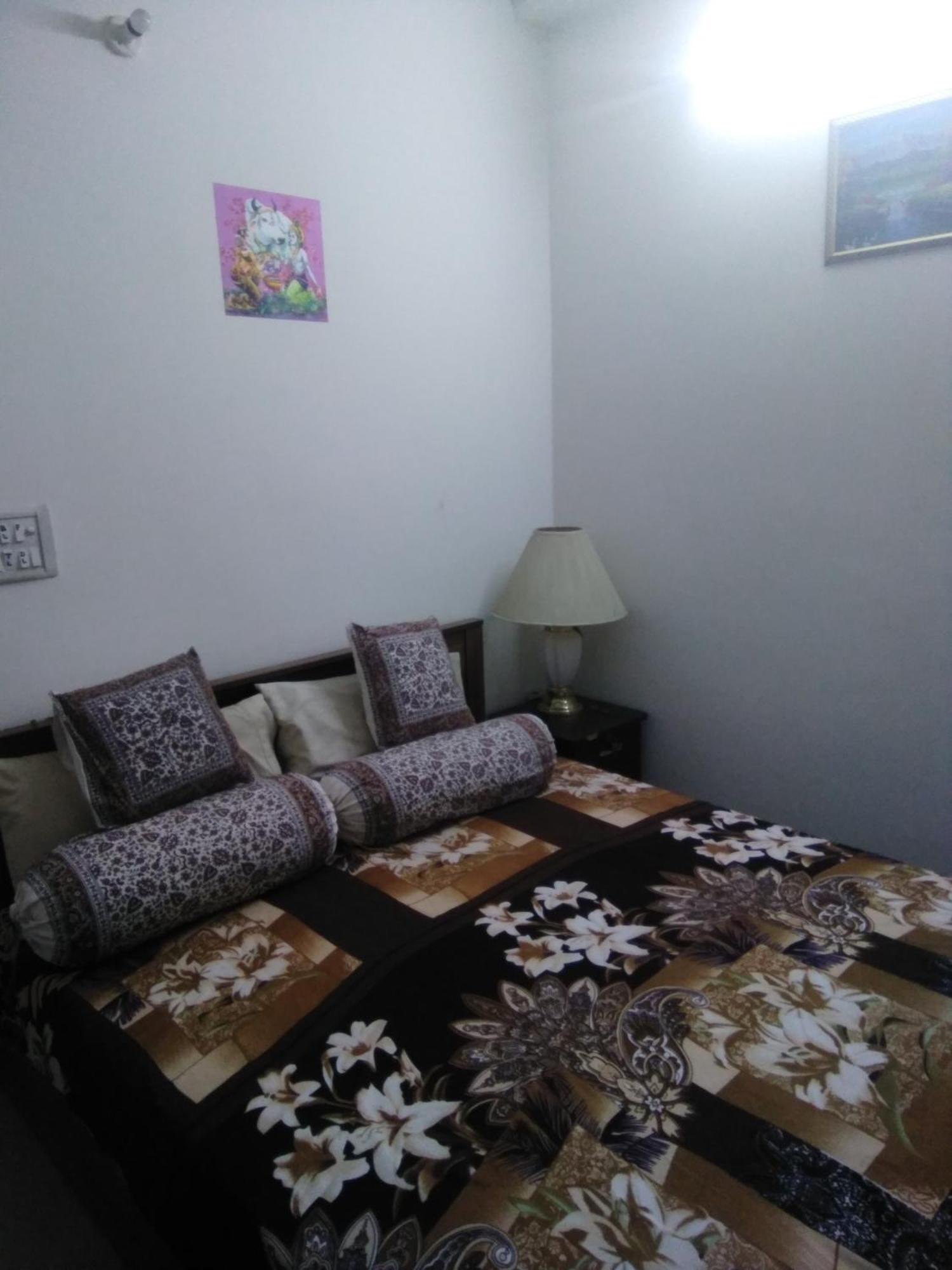 Bhagvati Bnb Homestay Apt Apartment New Delhi